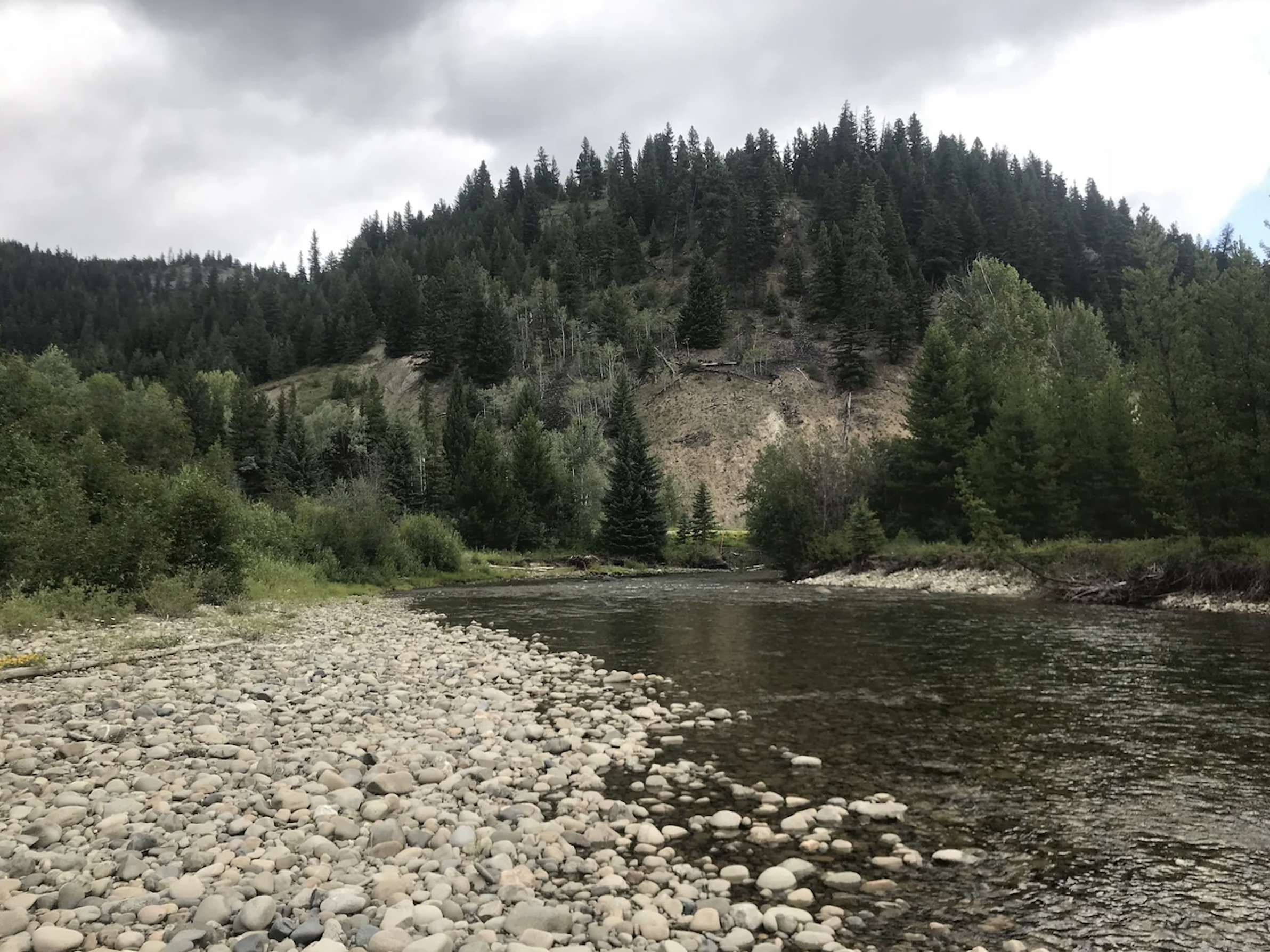 eastgate british columbia canada local community website and business directory