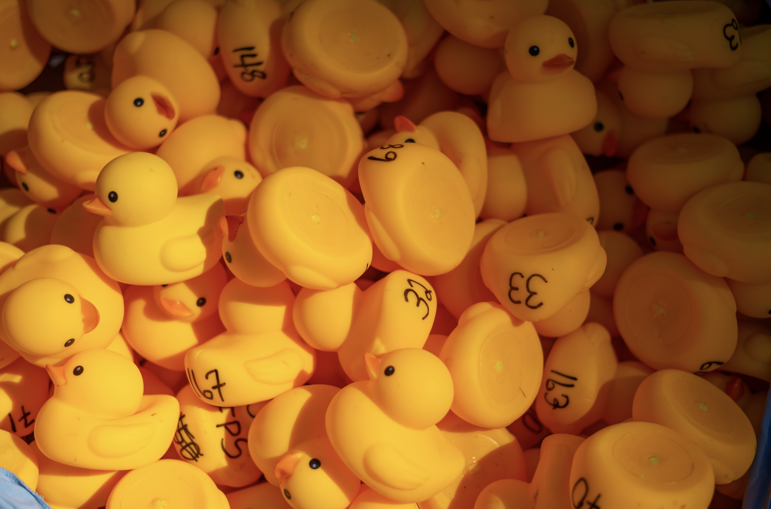 eastgate bc 2025 community day duck race fundraiser for eastgate fire protection society 34