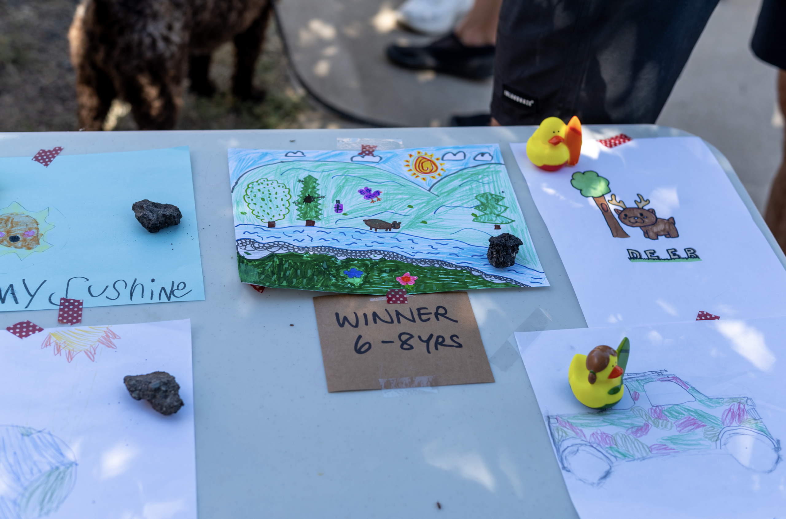 eastgate bc 2025 community day duck race fundraiser for eastgate fire protection society 43